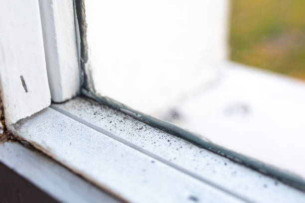 Biohazard Mold Removal in Perth Amboy, NJ