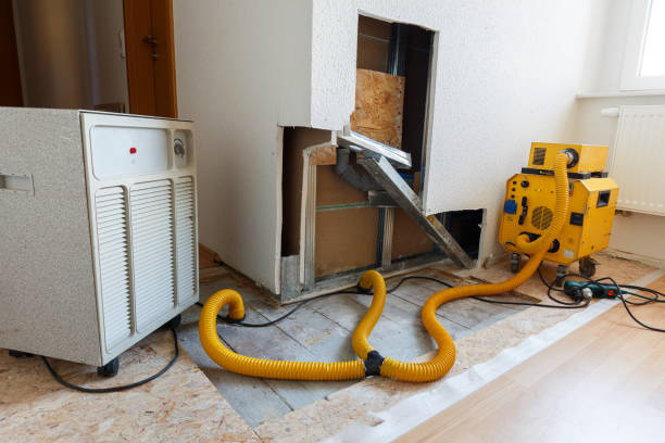 Best HVAC Mold Inspection and Cleaning  in Perth Amboy, NJ